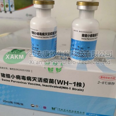 豬細(xì)小病毒病滅活疫苗（WH-1株）